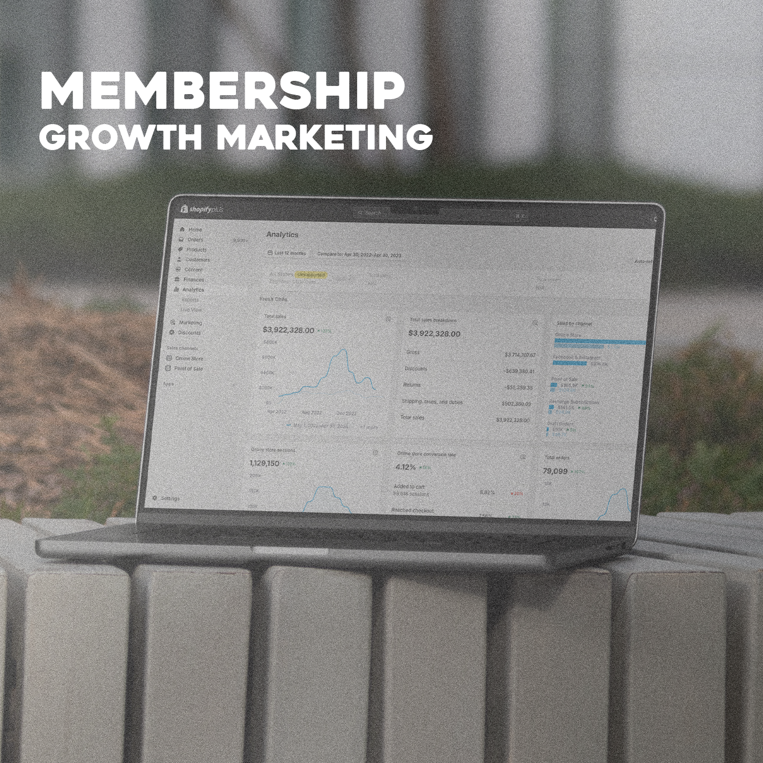 Coaching & Marketing